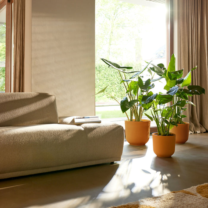 327570-x01-202412260522-A.jpg (9746882)