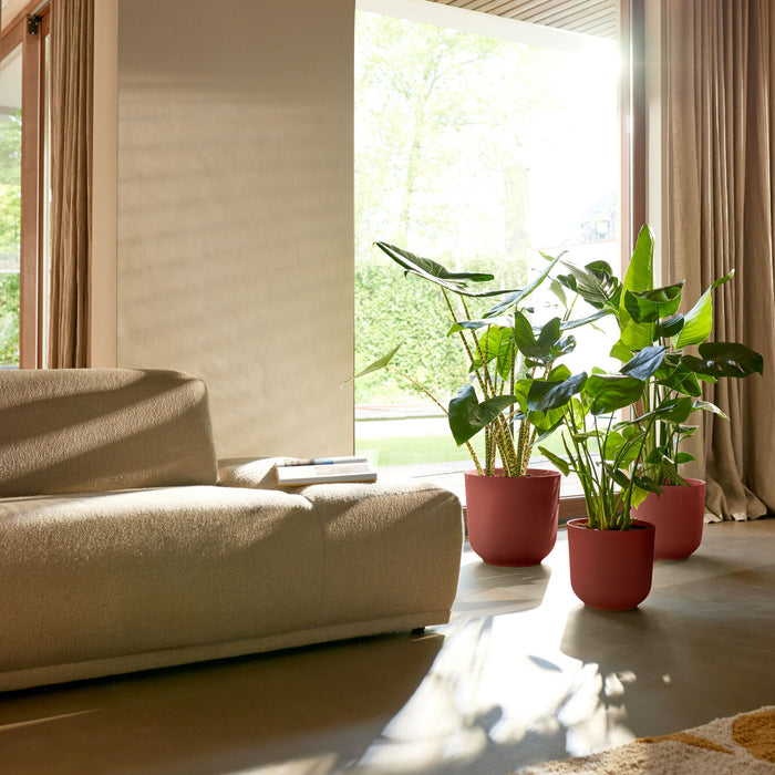 327571-x01-202412260522-A.jpg (9746887)