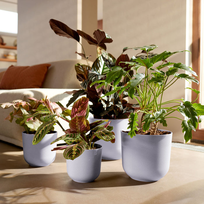 327572-x01-202412260522-A.jpg (9746891)