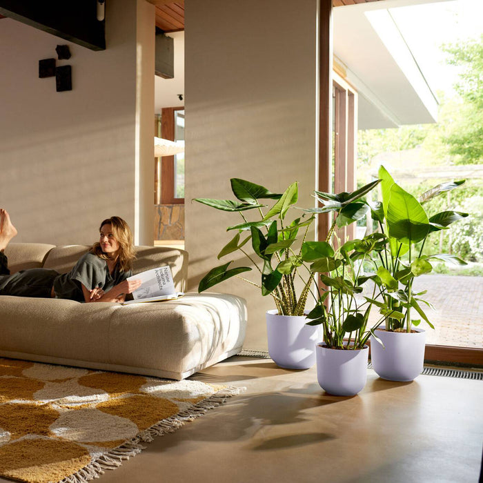 327572-x02-202412260522-A.jpg (9746892)