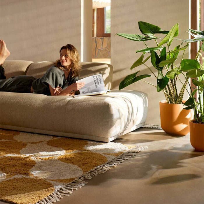 327574-x02-202412260522-A.jpg (9746900)