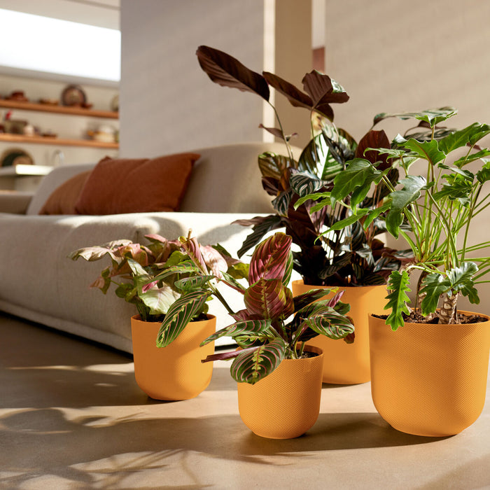 327574-x03-202412260522-A.jpg (9746901)