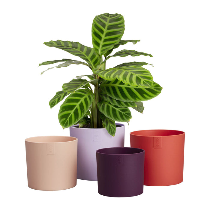 327578-x02-202412260521-C.jpg (9746918)