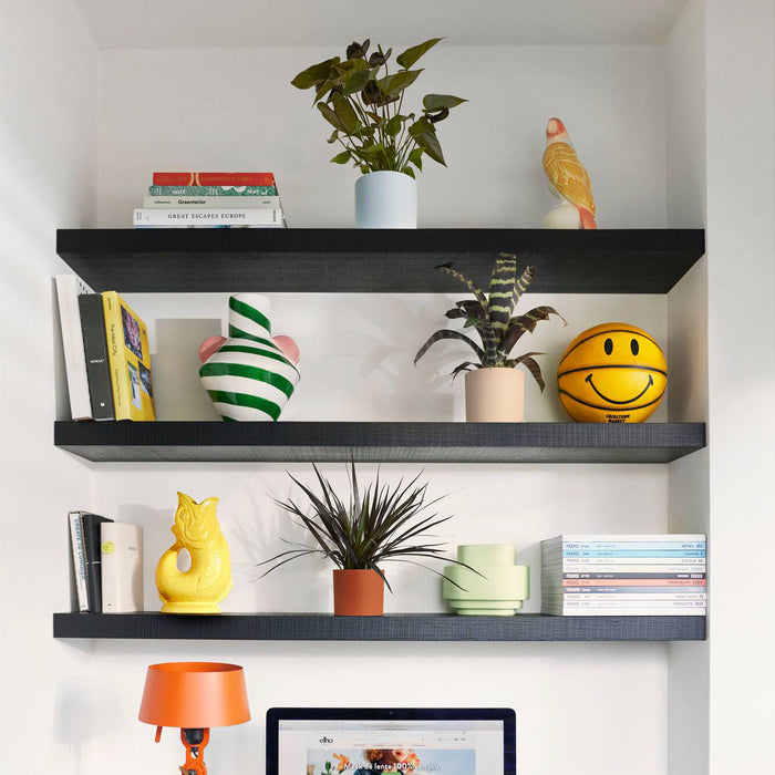 327579-x01-202412260522-A.jpg (9746919)