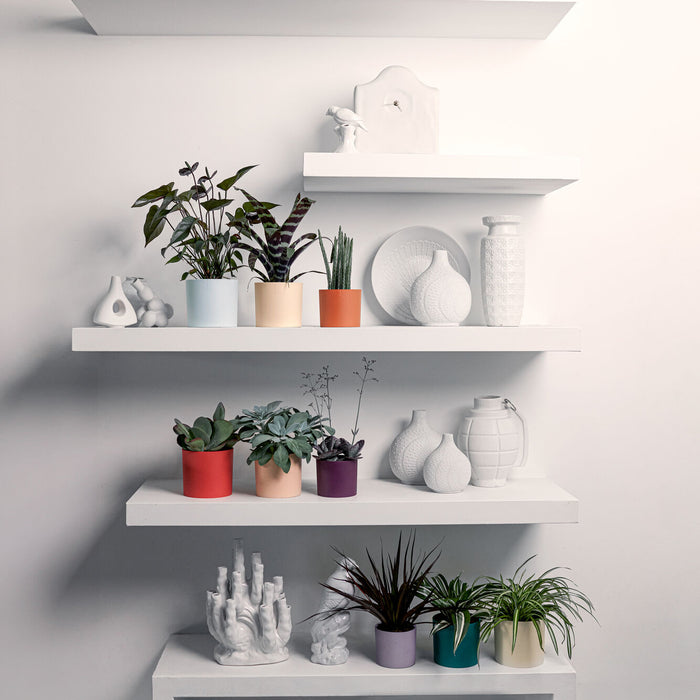 327580-x01-202412260522-A.jpg (9746922)