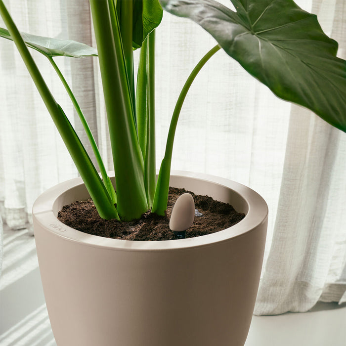 327582-x01-202412260522-A.jpg (9746929)