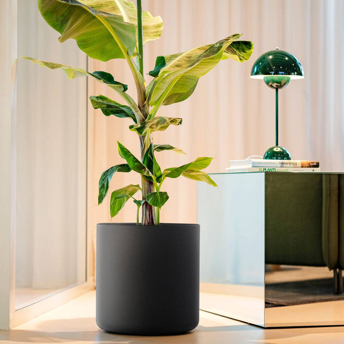 Elho Pure Cilinder Wheels 40 - Zwart - L 40 x B x H 40 cm - Balkon, Binnen en Buiten - 100% gerecycled kunststof kunststof