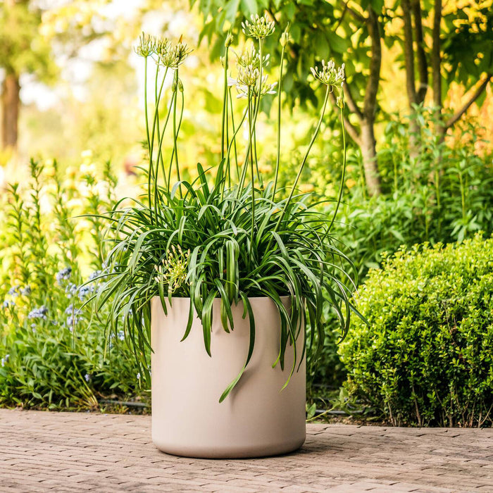 Elho Pure Cilinder Wheels 50 - Beige - L 50 x B x H 50 cm - Balkon, Binnen en Buiten - 100% gerecycled kunststof kunststof