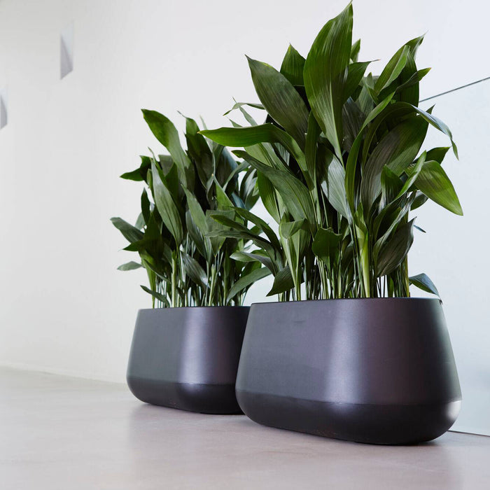 Elho Pure Cone Long Wheels 75 - Zwart - L 74 x B x H 36 cm - Binnen en Buiten - 100% gerecycled