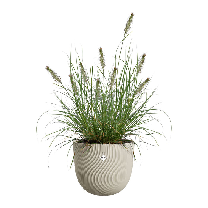 327672-x03-202412311122-C.jpg (9756173)