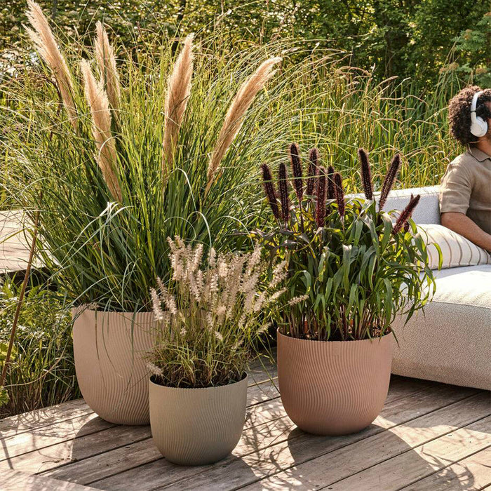 327673-x01-202412311121-A.jpg (9756181)