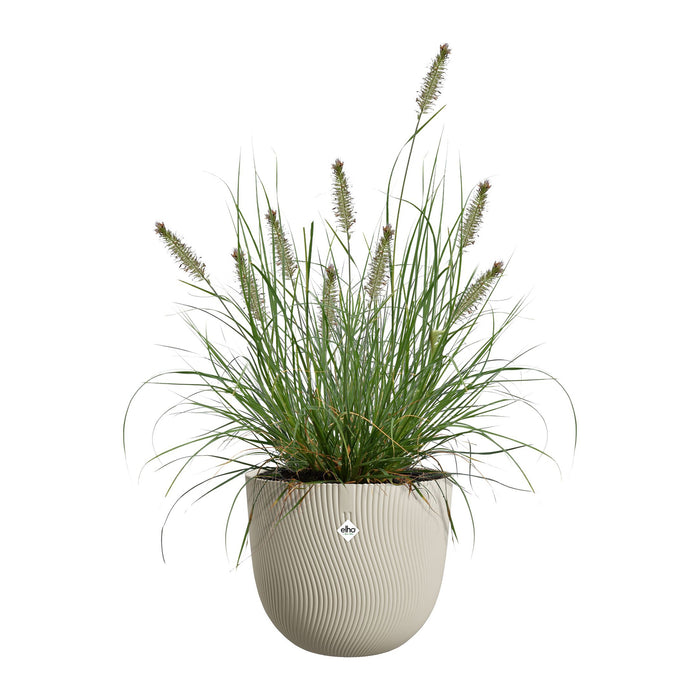 327675-x03-202412311121-C.jpg (9756201)