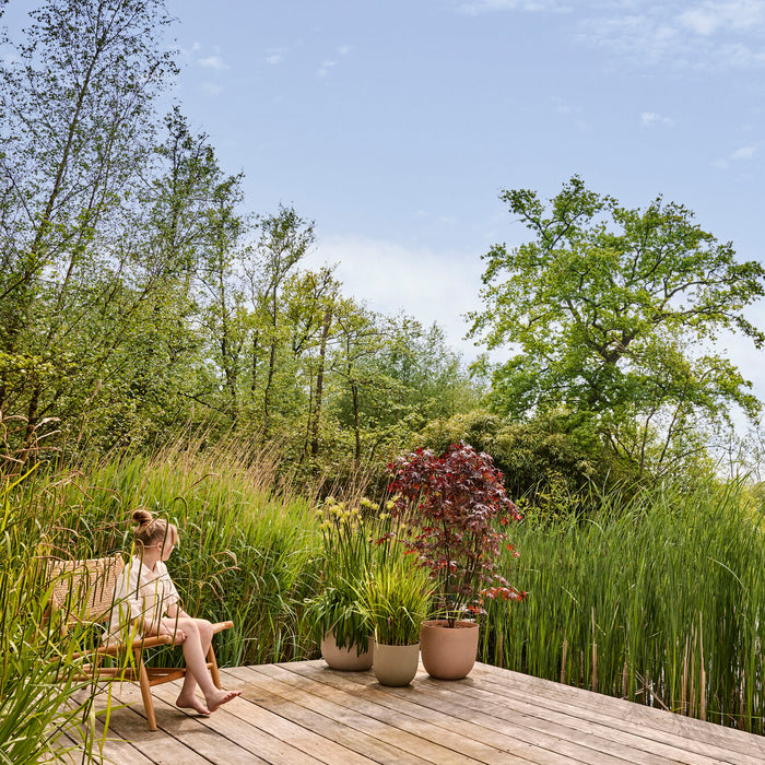 327677-x01-202412311122-A.jpg (9756218)