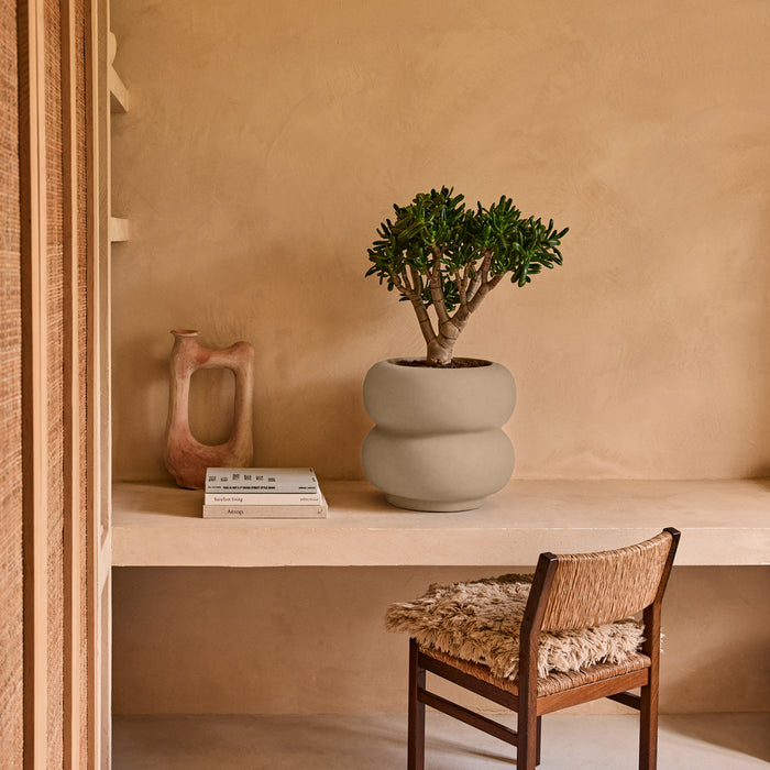 327617-x01-202501032021-A.jpg (9770316)