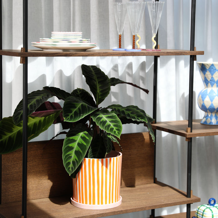 327742-x04-202501062022-A.jpg (9788422)