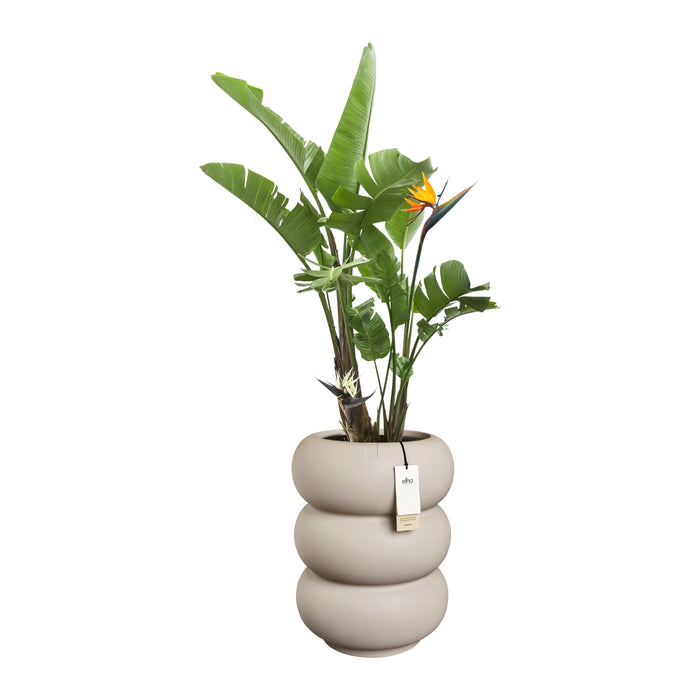 Elho Amber Roll High 43 - Balanced beige - Ø 43 x H 58 cm - Binnen en Buiten - 100% gerecycled kunststof