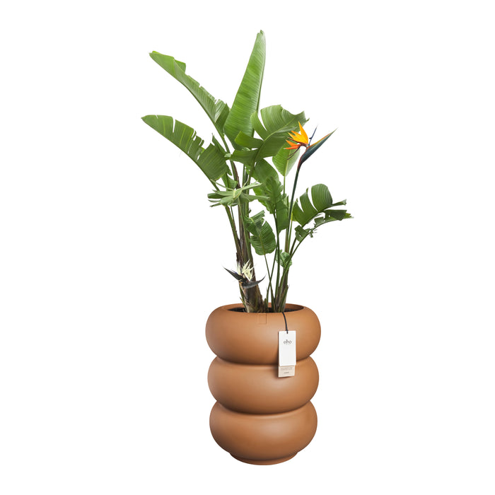 327621-x02-202501090122-C.jpg (9809075)