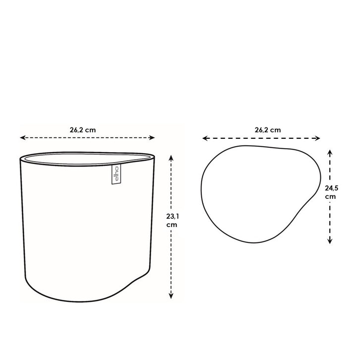 327658-x04-202501090122-C.jpg (9809123)