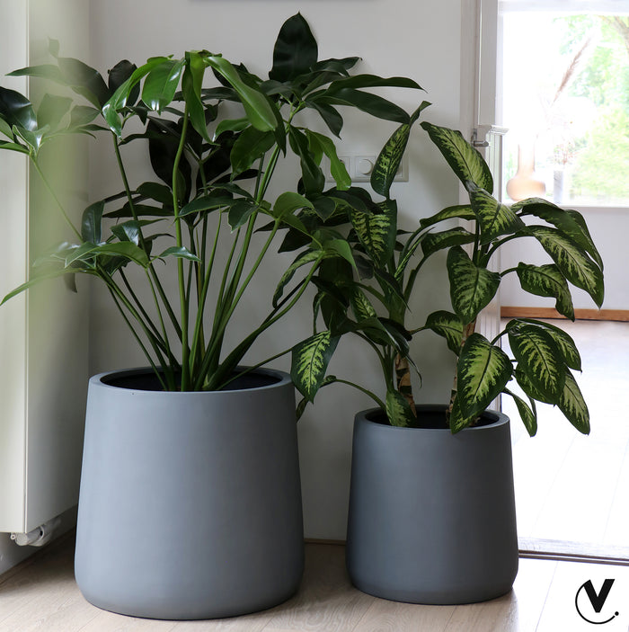 b0adbe3f-1081-49ee-84ab-9711300aba4e-sfeerbeeld.jpg (9809966)