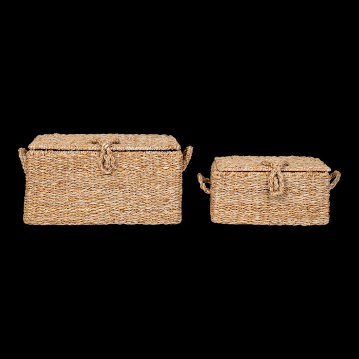 689806bc-8dcc-490b-b72c-a0a97d68e167-afbeelding3.jpg (9829821)