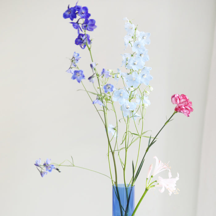 327743-x01-202501181736-A.jpg (9844258)