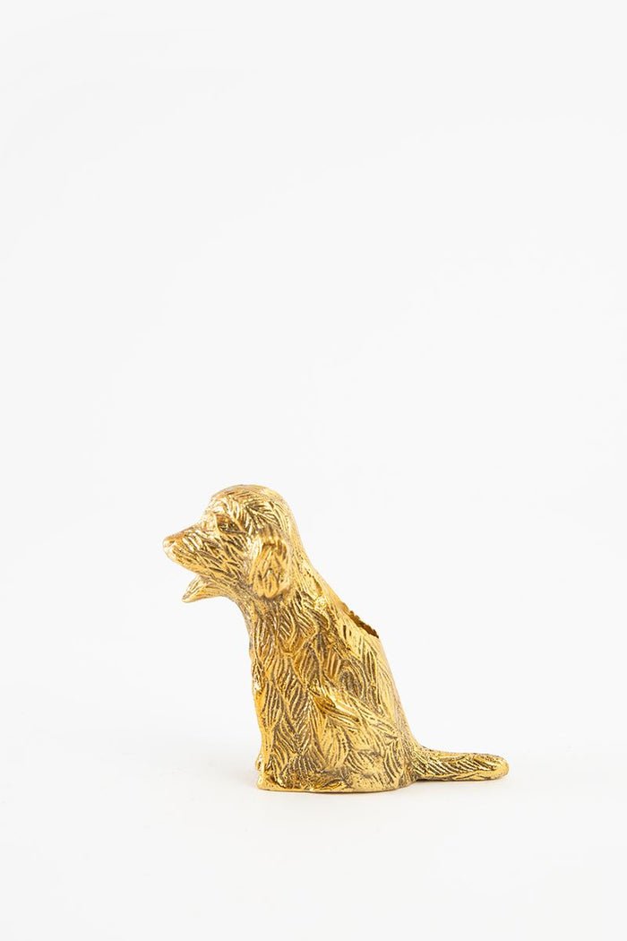 Sissy-Boy Goudkleurige kandelaar labradoodle