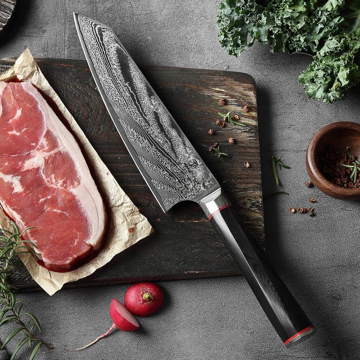 Homizu Takumi Koksmes - VG-10 Damast|G10 - zw,rd,wit - doos