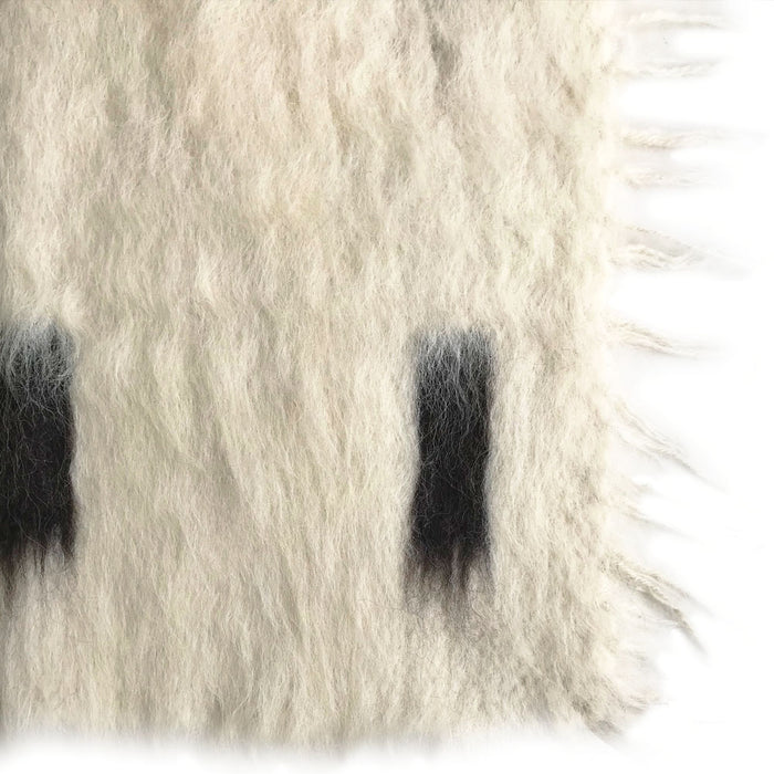 327980-x02-202501281722-C.jpg (9881572)