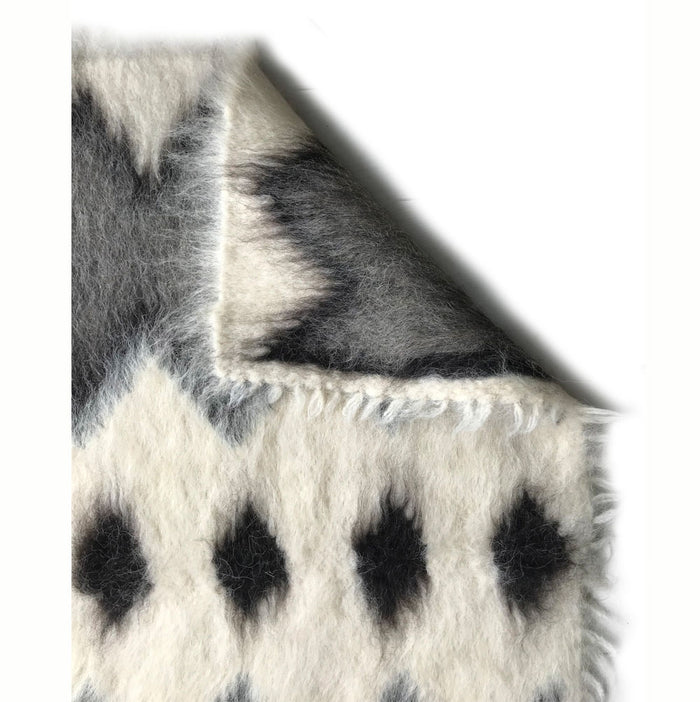 327981-x02-202501281723-C.jpg (9881575)