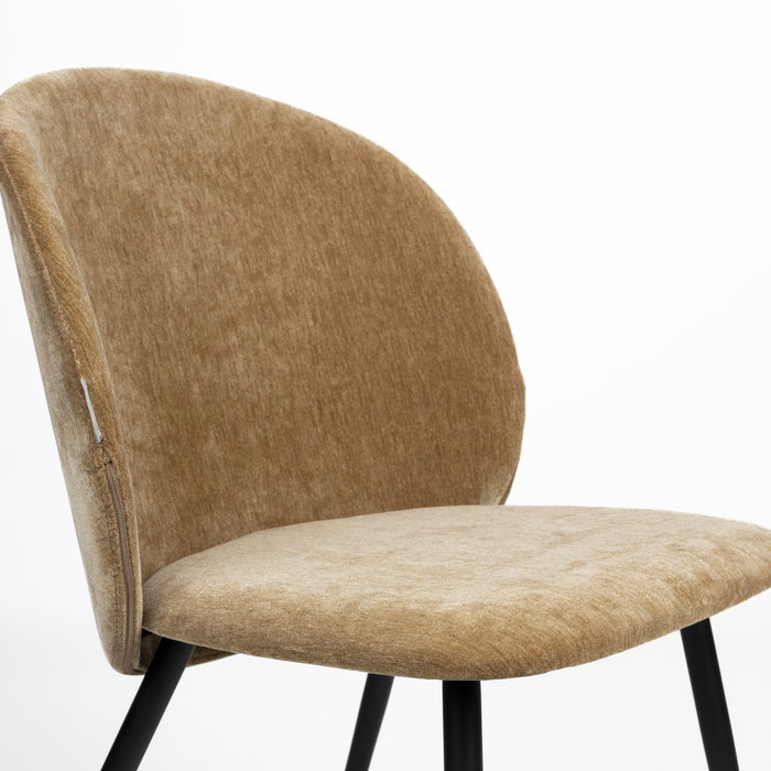 327834-x07-202501302222-A.jpg (9882505)