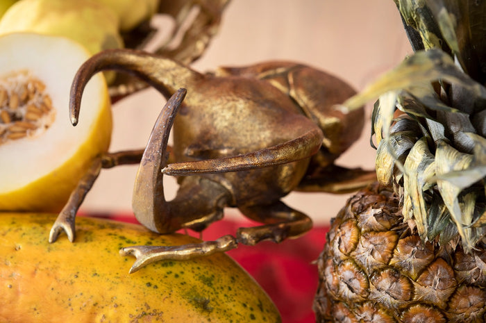 2195f7ce-b38f-4add-bb23-6d0c6d4015e0-afbeelding7.jpg (9893341)