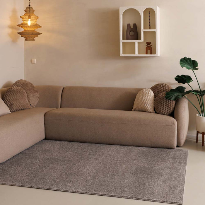 Tapeso Laagpolig vloerkleed Fine - lichtgrijs - 60x110 cm