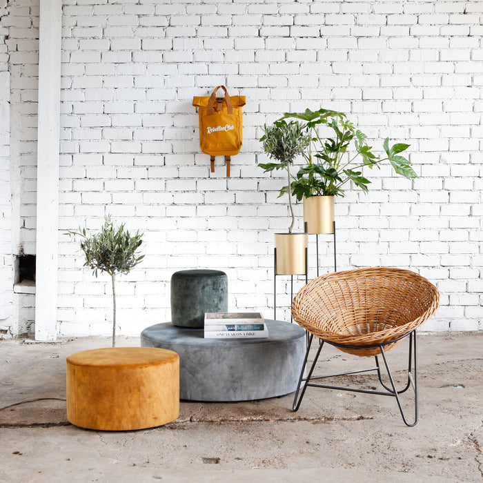 0042f63a-b192-4ef3-a260-380721af76f1-afbeelding4.jpg (9901853)