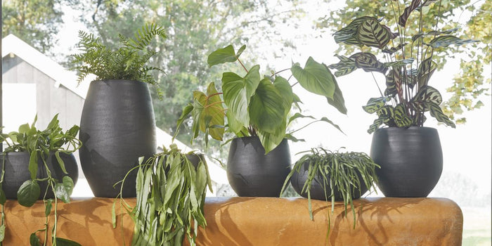 016514c3-062a-4af1-8a4e-9d25d0c59070-afbeelding7.jpg (9905407)