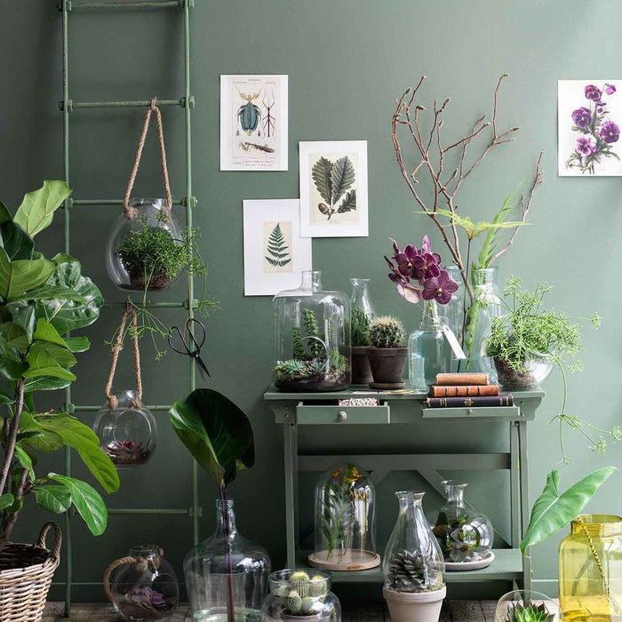 07bb6c6d-1099-479a-978f-3a1225c18d84-afbeelding7.jpg (9905695)