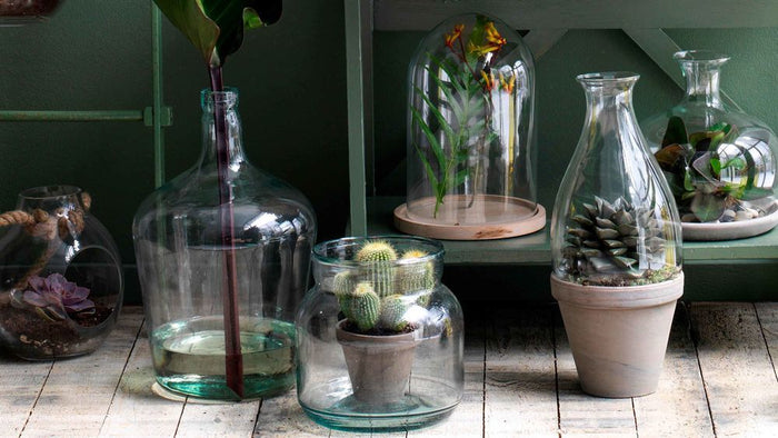 07bb6c6d-1099-479a-978f-3a1225c18d84-afbeelding8.jpg (9905697)