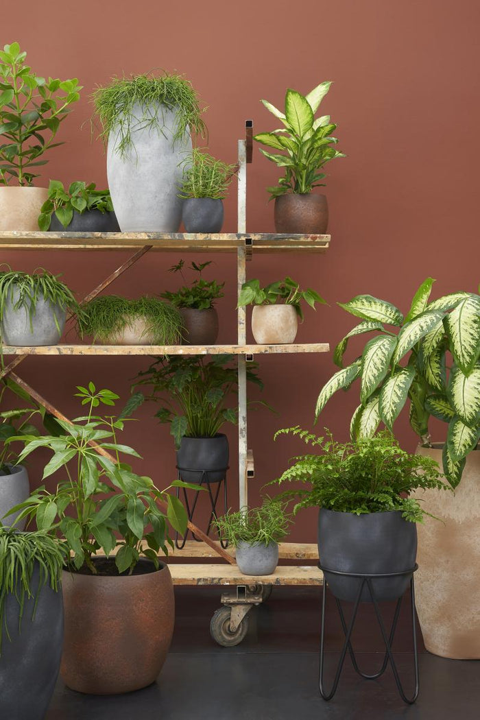 3b9fd57e-144d-4fbb-9a00-a6898d28a386-afbeelding5.jpg (9906707)