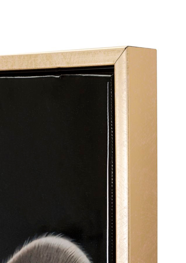 1cff2a24-6f94-4d64-acac-5ebe66496efc-afbeelding4.jpg (9906966)