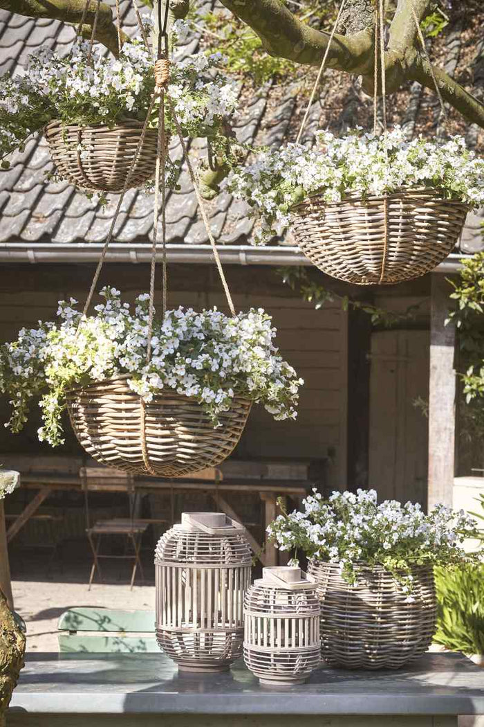 dcfdb343-ffeb-4ab7-b77c-033fa6cb6f59-afbeelding3.jpg (9909147)