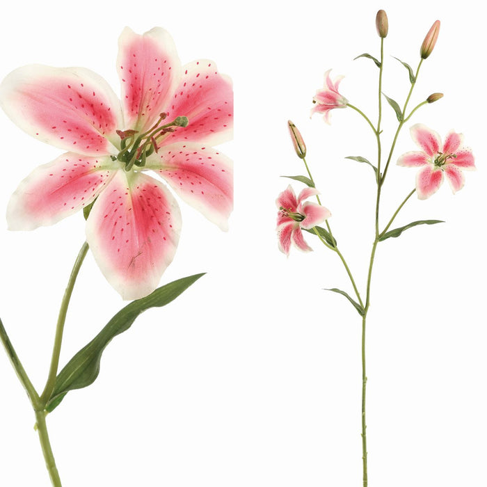 PTMD Lelie Kunstbloem - 115 x 30 x 114 cm - Kunststof - Roze