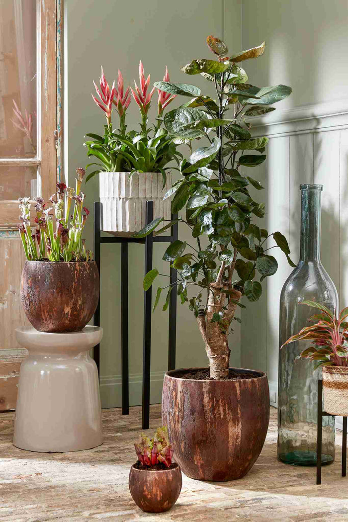 e7763333-d78d-4277-a391-d5ad83bf5cc9-afbeelding3.jpg (9910600)