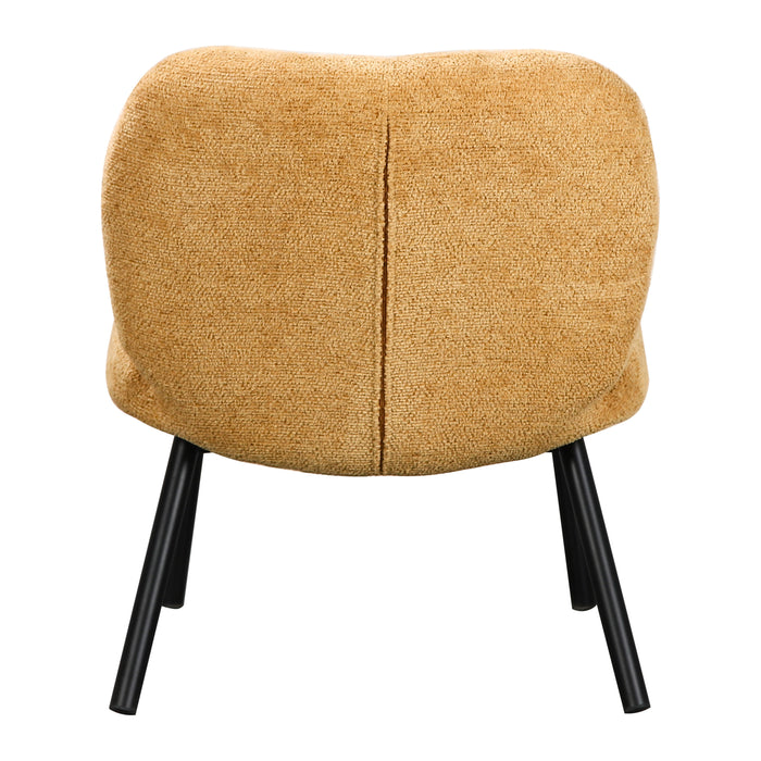 327702-x05-202502111322-C.jpg (9919128)