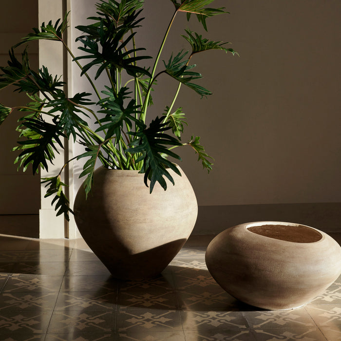 328269-x03-202502121451-A.jpg (9920149)