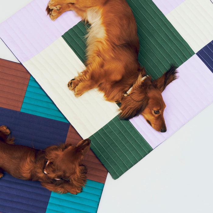 HAY Dogs Travel Blanket - Burgundy / Green / Blue