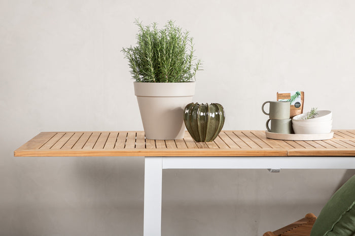 1fa3d7c7-282a-49e2-bea5-486caea70a36-afbeelding7.jpg (9922554)