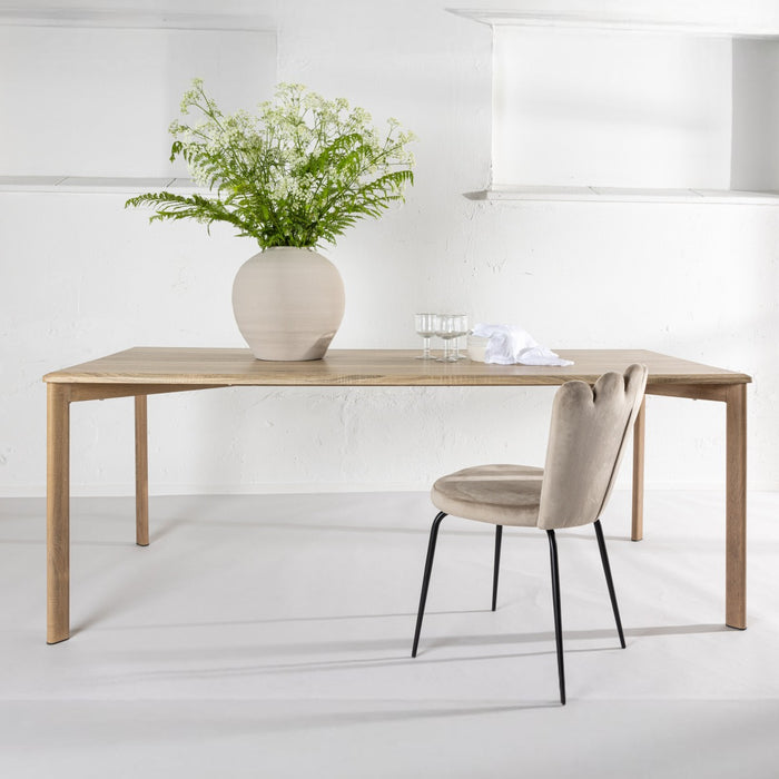 03241b47-b8cd-4b69-886f-4dd9bd36e9a0-sfeerbeeld.jpg (9923980)