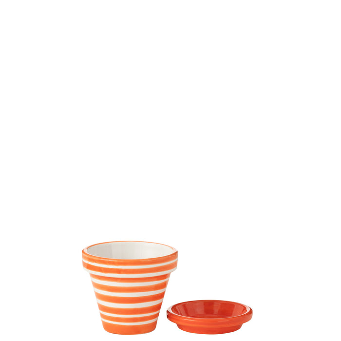 8b1355b9-0994-4c92-95b9-df9b761947d9-sfeerbeeld.jpg (9933778)