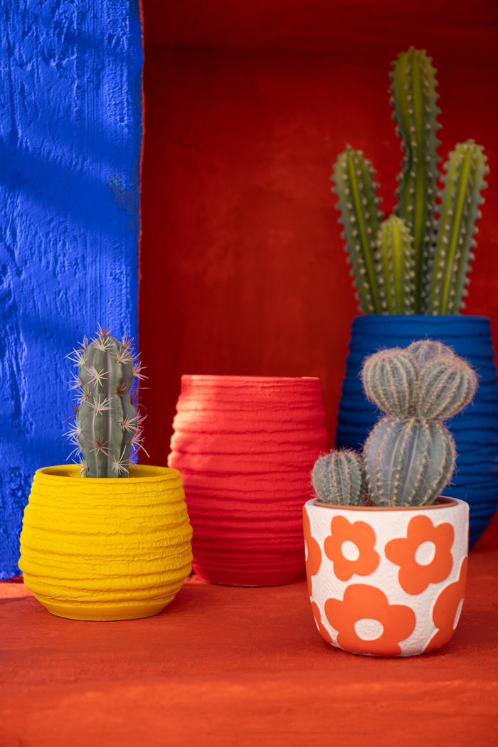 263c62ac-aa04-45a8-aad6-c4d1f32c8ccb-sfeerbeeld.jpg (9933889)