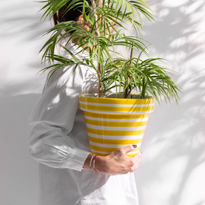 762a13ac-df77-423f-8ea4-8fabdb747da0-afbeelding3.jpg (9934307)