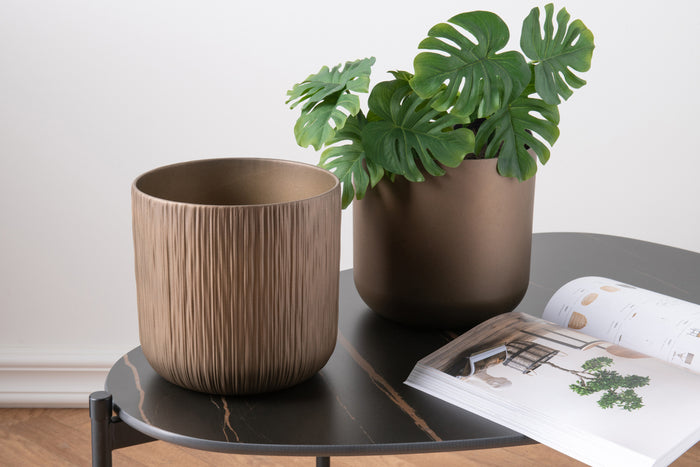 157f2a8e-fe8a-4bcd-b06a-bd8f468512d9-sfeerbeeld.jpg (9934985)